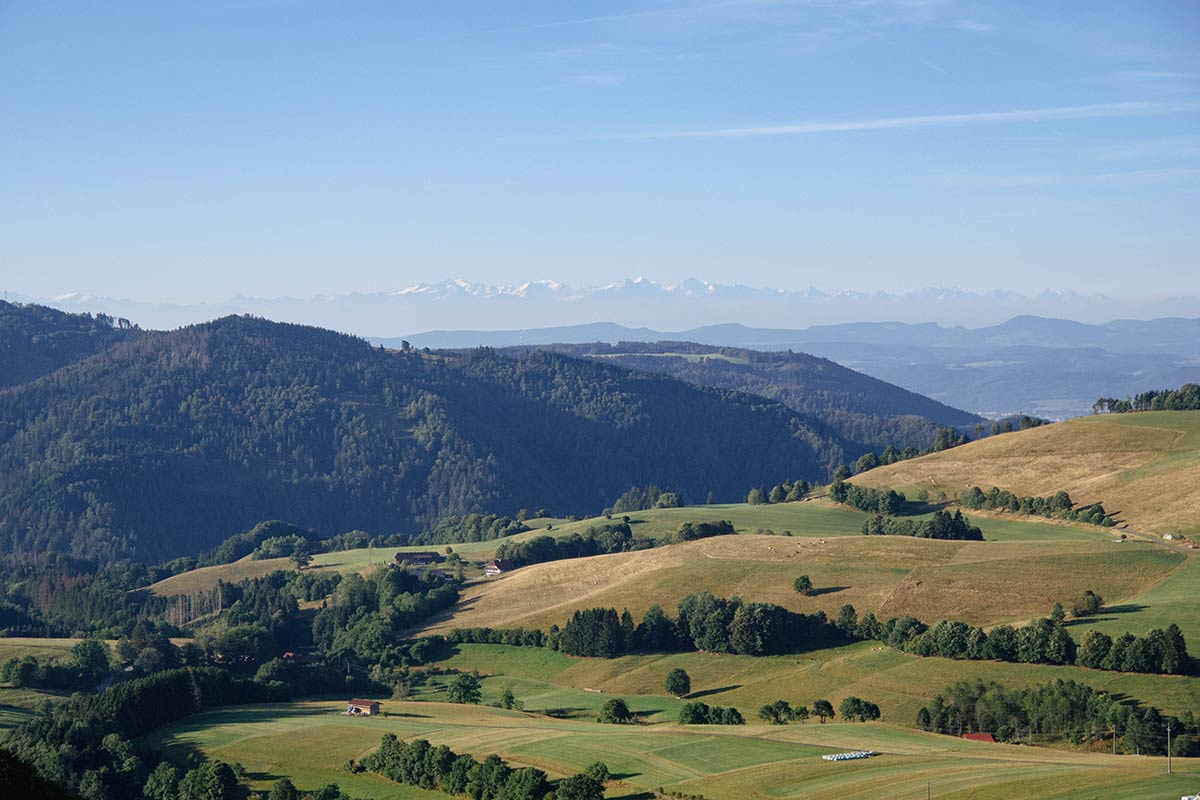 Klassenfahrt AS2O1 im Schwarzwald 2023