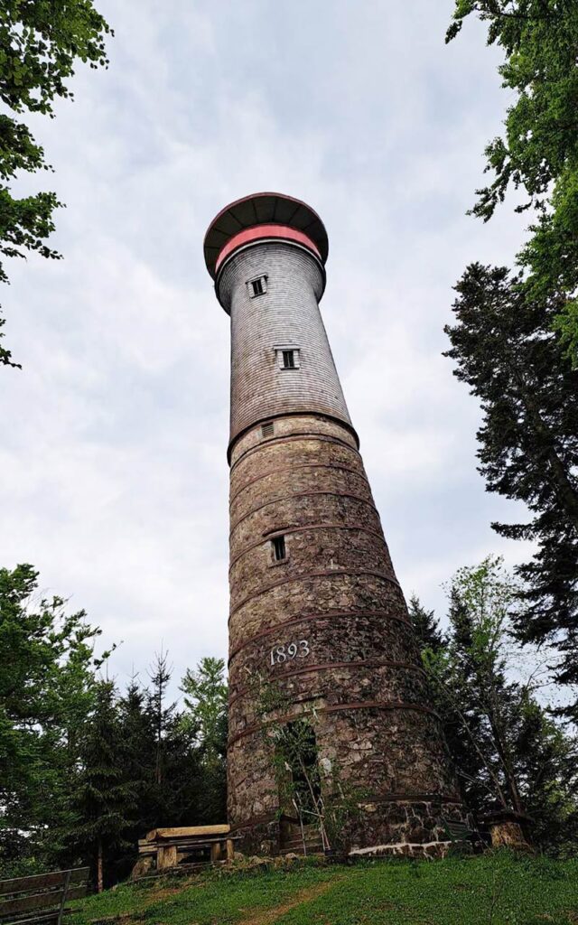 Klassenfahrt in den Südschwarzwald – Architektur, Design und Abenteuer