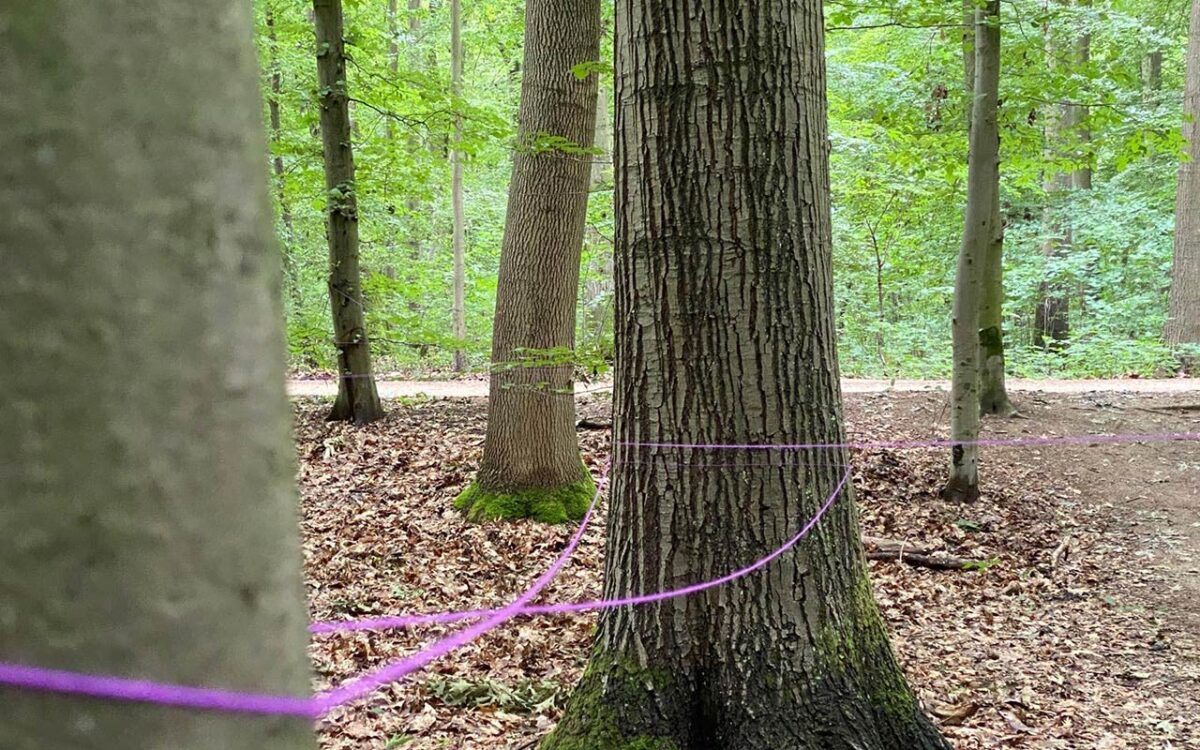 Wald trifft Kunst: Kreatives Kooperationsprojekt mit Ökorausch und dem Haus des Waldes