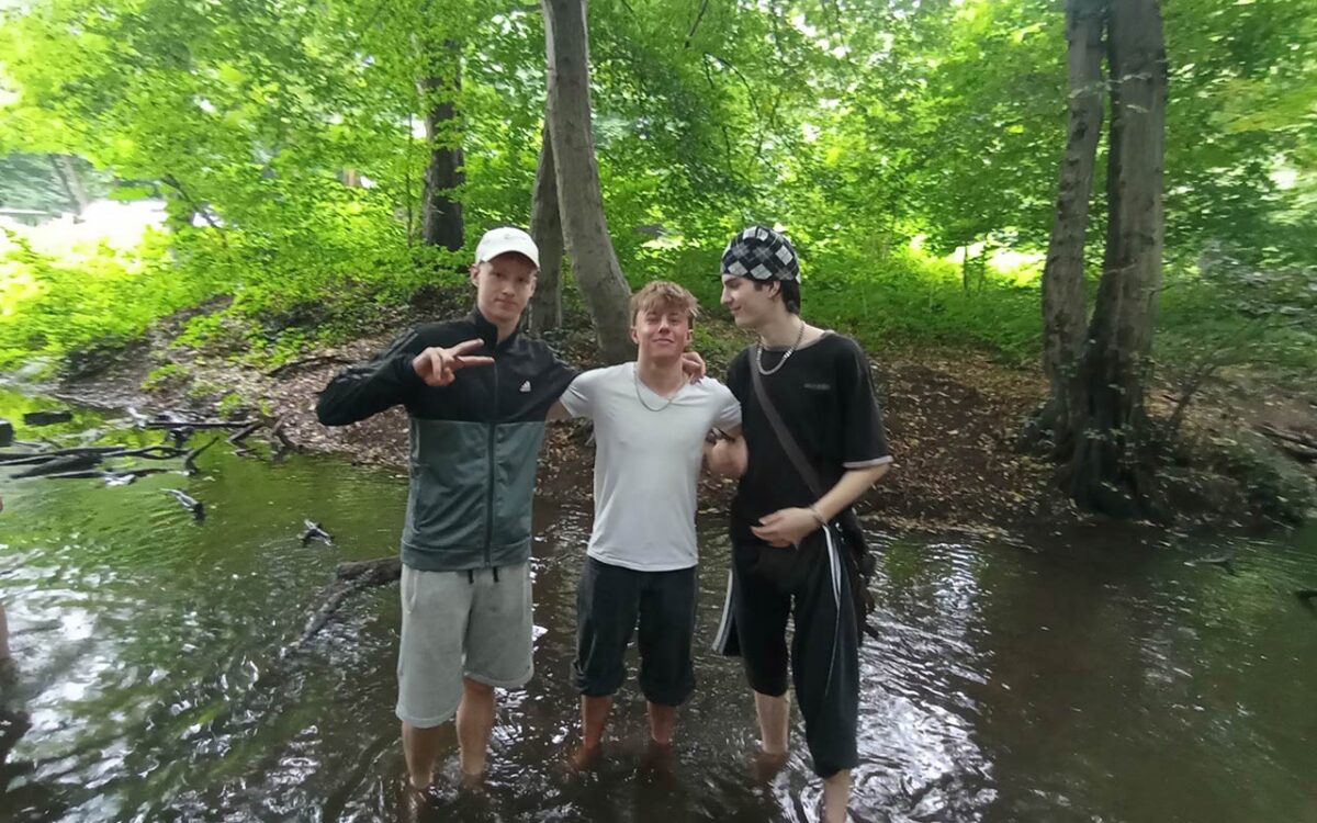 Wald trifft Kunst: Kreatives Kooperationsprojekt mit Ökorausch und dem Haus des Waldes