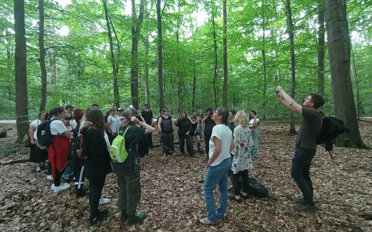 Wald trifft Kunst: Kreatives Kooperationsprojekt mit Ökorausch und dem Haus des Waldes